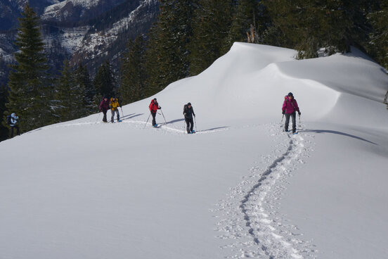 Schneeschuhwanderung | © ÖAV / C. Szepfalusi Schneeschuhwanderung | © ÖAV / C. Szepfalusi